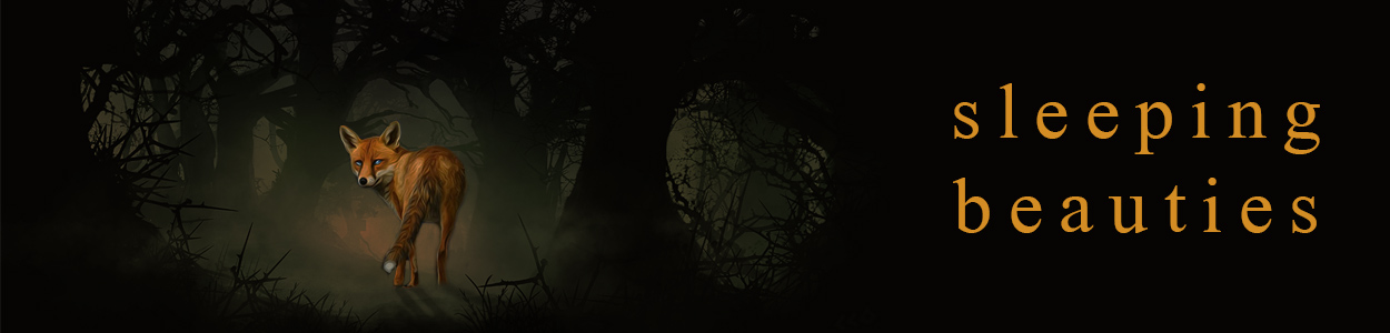 Fiction - Stephen King - Sleeping Beauties