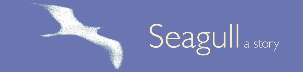 Modern & contemporary fiction - Seagull a story