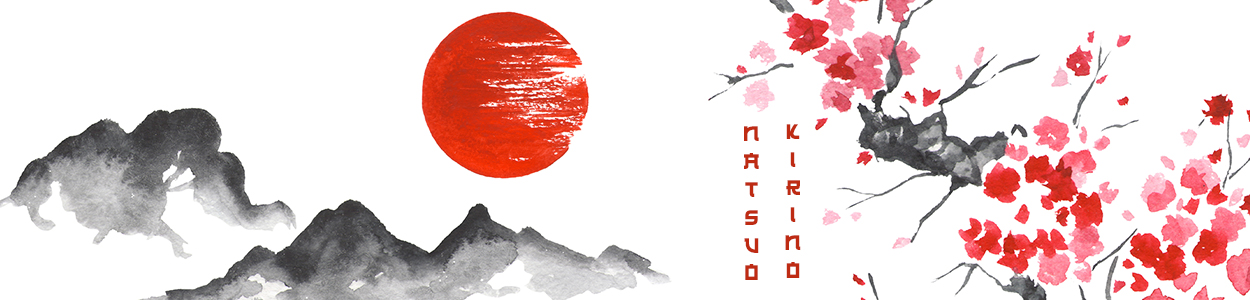 Fiction - Natsuo Kirino