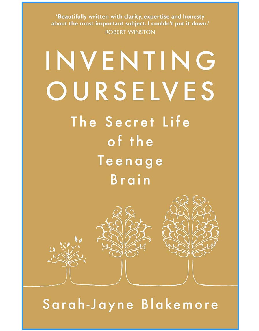 The Secret Life of the Teenage Brain