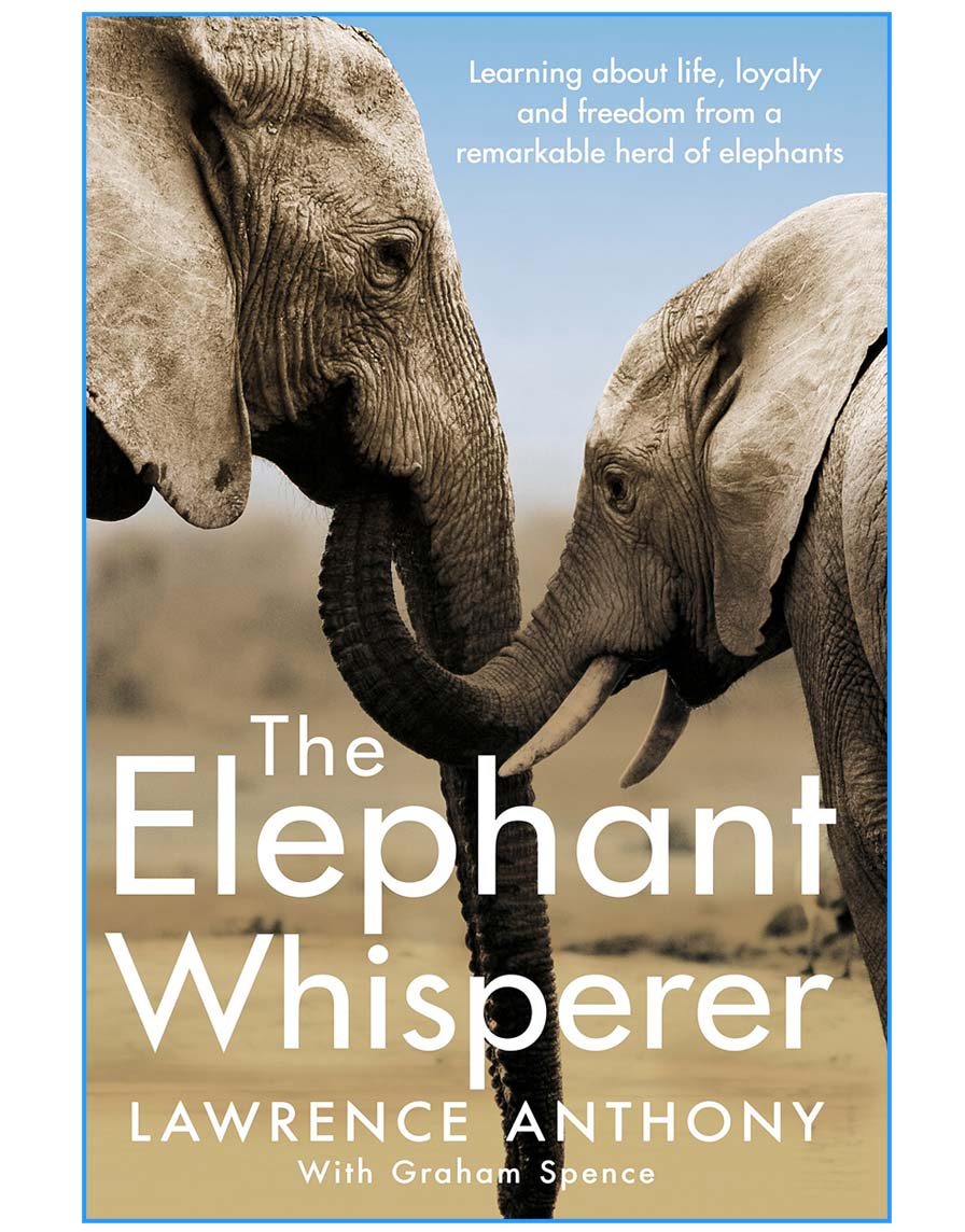 Learning About Life, Loyalty and Freedom From a Remarkable Herd of Elephants